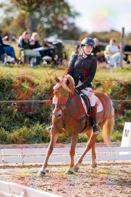 2026_10_03_Siefer-Hof_122314_Z81_23274468 | Professionelle Reitsport-, Turnier- und Eventfotografie von Robert Broda. Galerien mit ausgewählten und bearbeiteten Bildern direkt online ansehen und bestellen.