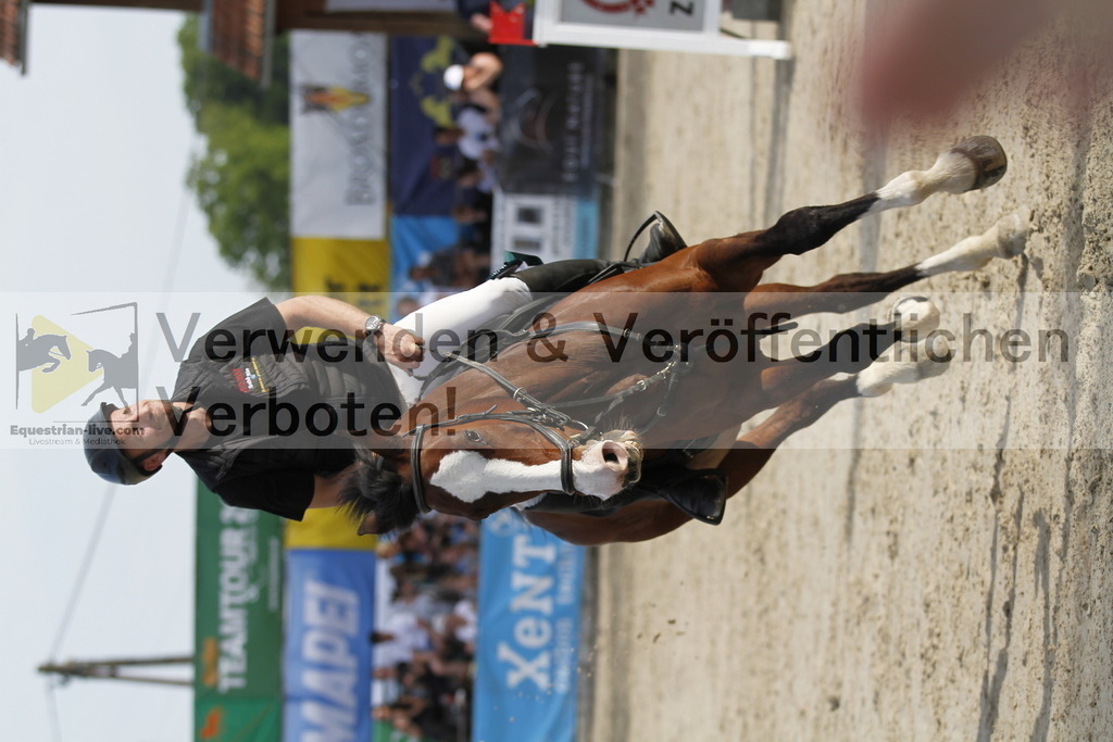 _MG_6467 | equestrian-live-com