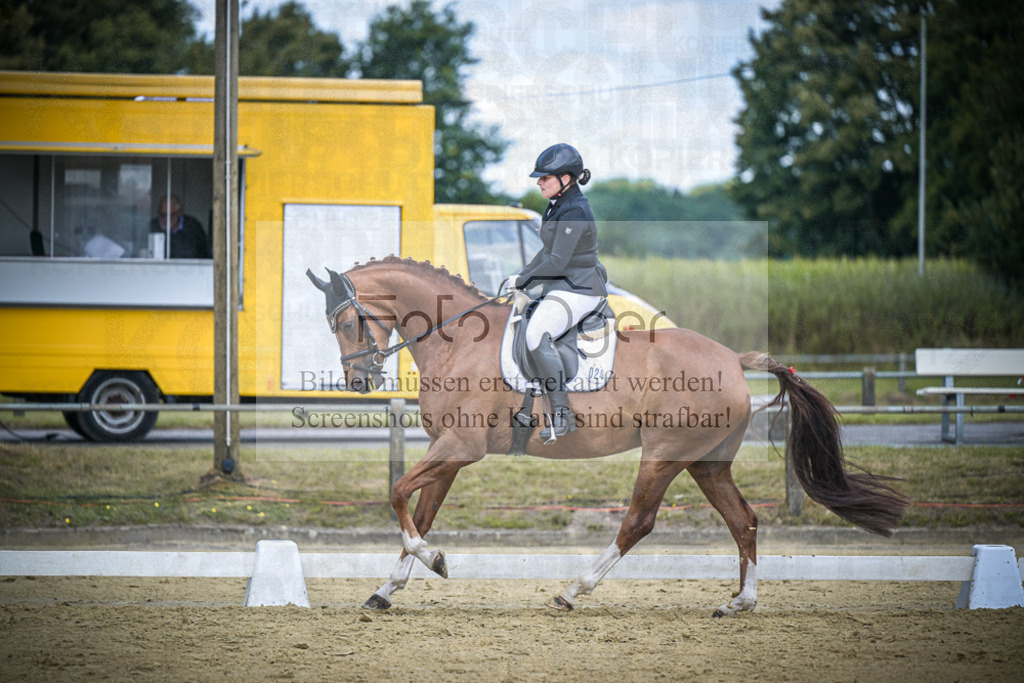 DOS_4854 | Entdecke hochwertige Reitturnierfotos von Foto Oger. Professionell, emotional und authentisch – jetzt Lieblingsmomente im Shop bestellen.Deutschlandweite Turnierfotografie. - Realisiert mit Pictrs.com