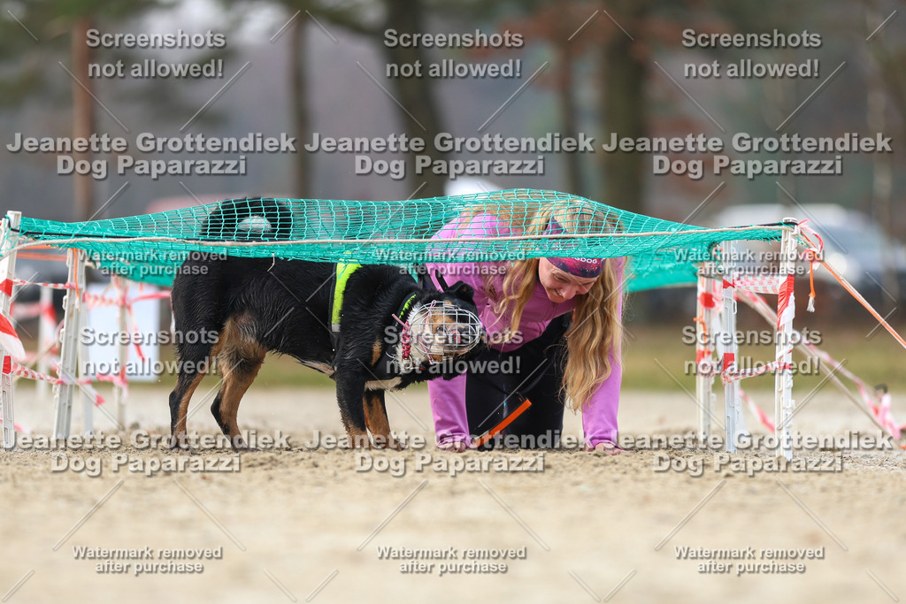 Dog Paparazzi - Strongdog North Mrz26-4296 | Dog Paparazzi Jeanette Grottendiek Fotografie & Videografie - Realisiert mit Pictrs.com