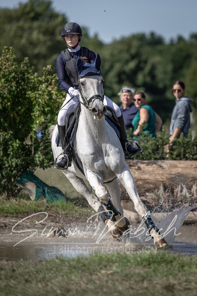 20250907-_3LI9861 | Tierfotografie Pferde, Hunde, Katzen, Haustiere.
Turnierfotografie Reitturniere, Reiten, Springreiten, Dressur in Hanau, dem Main-Kinzig-Kreis und dem Rhein-Main- Gebiet um Frankfurt