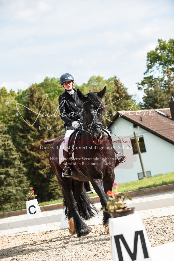 20230518_JK-Röhrsdorf-12-0425 | Pferde- und Turnierfotografie in Westsachsen. Pferdeportraits, Auftragszeichnungen und intuitive Kunst.