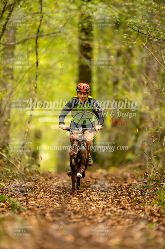 TSB_2023_E1_Bike-27 | PayLife