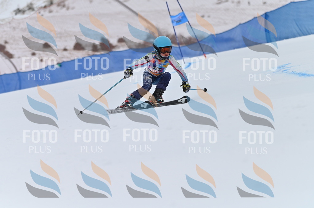 BGV_0437 | holidayphoto