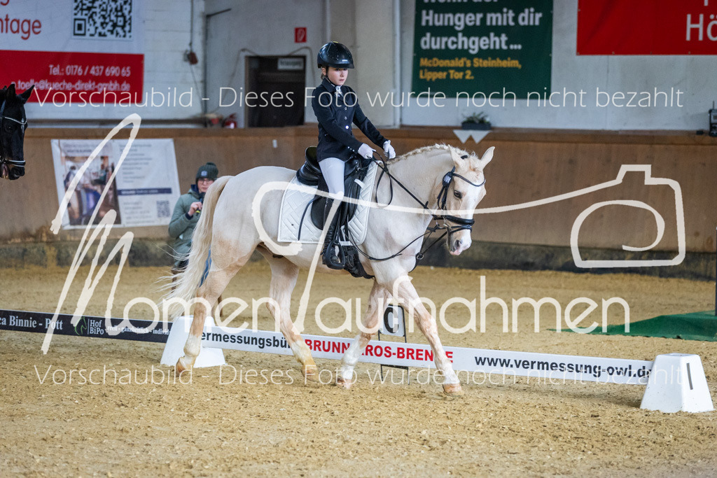 Sth-WBO25-DrR-140 | MomenTaufnahmen Pferdesportfotos