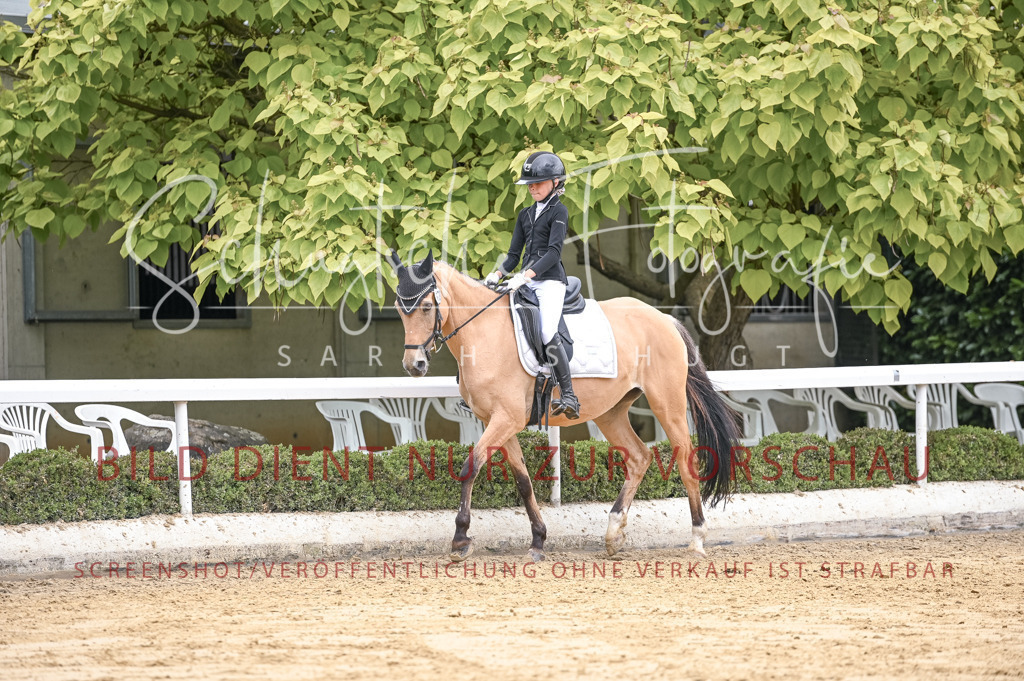 Schugtsche-Aluta25-42.EDressur -293 | Schugtsche Fotografie - Realisiert mit Pictrs.com