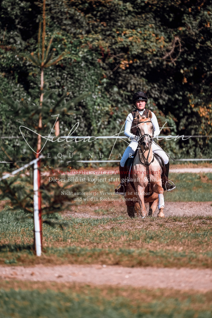 DSC_1132 | Pferde- und Turnierfotografie in Westsachsen. Pferdeportraits, Auftragszeichnungen und intuitive Kunst.