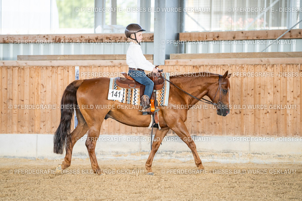 DSC08486 | Pferdegrafie