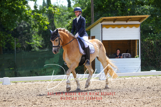 DKP42482 | Turniersportfotografie; Pferdefotografie; Dressurfotografie