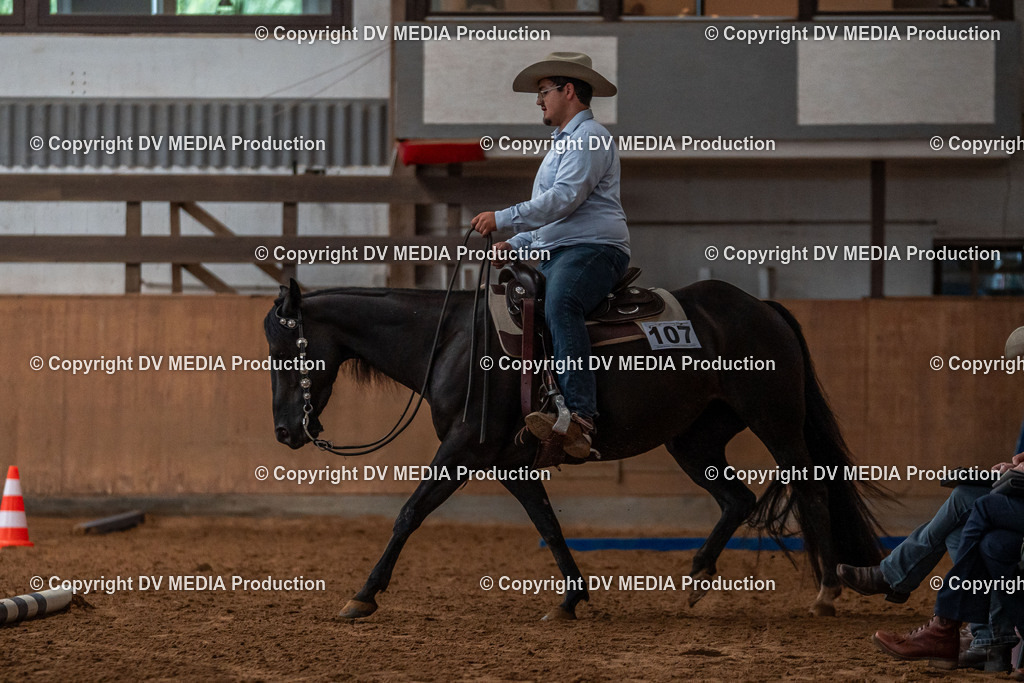 Neckargemünd Tag 2-19 | dv-media-shop - Realisiert mit Pictrs.com