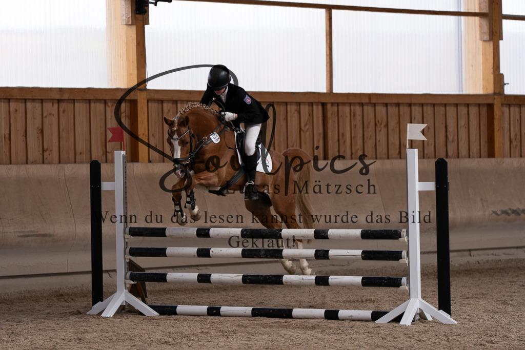 A7507879 | Pferdefotograf