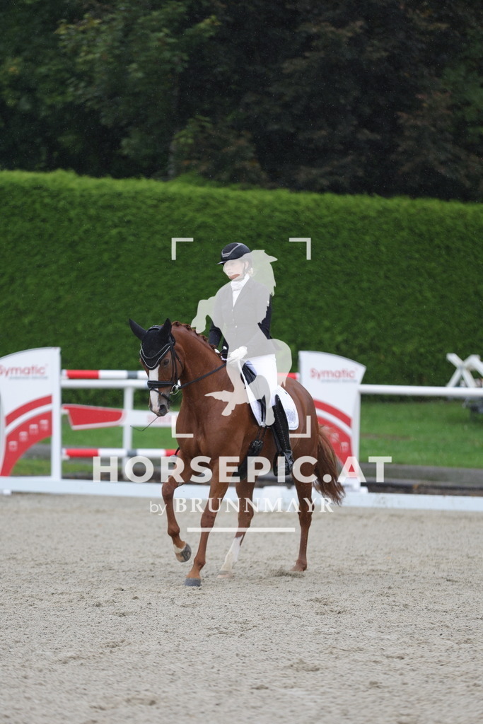0P6A0168 | Willkommen bei Brunnmayr - Design & Fotografie – Ihrem Spezialisten für Reitturniere und Pferdeveranstaltungen in Oberösterreich, Salzburg und Bayern! Seit über 17 Jahren sind wir leidenschaftlich dabei.