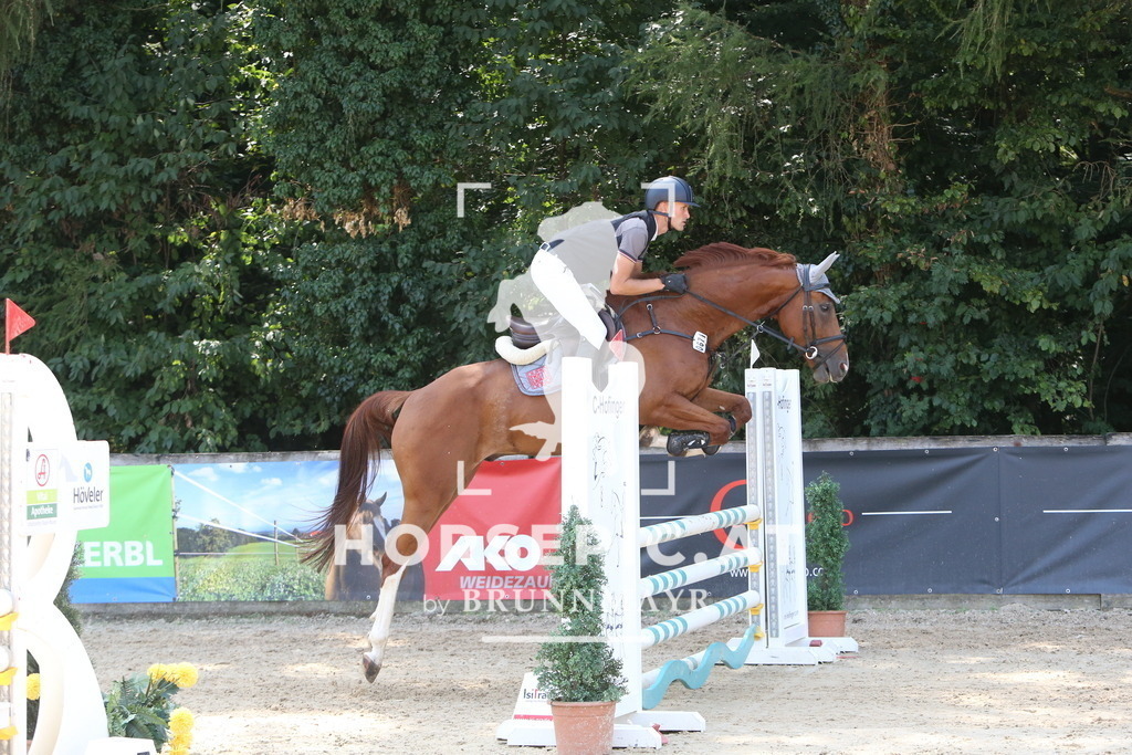 DL2Q0993 | Willkommen bei Brunnmayr - Design & Fotografie – Ihrem Spezialisten für Reitturniere und Pferdeveranstaltungen in Oberösterreich, Salzburg und Bayern! Seit über 17 Jahren sind wir leidenschaftlich dabei.