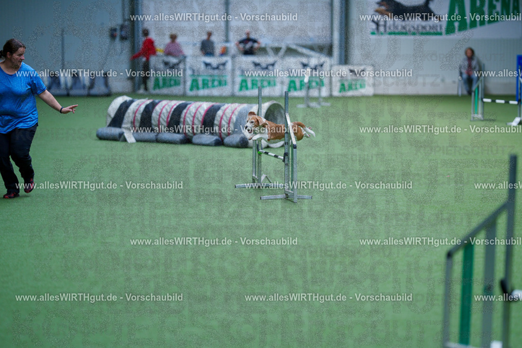@allesWIRTHgut_Tierfotografie - www.allesWIRTHgut.de - 2604261221-7R500735 | Professionelle Tierfotografie in Mönchengladbach von Daniel Wirth (allesWIRTHgut). Liebevolle & natürliche Bilder von Hunden & Katzen für unvergessliche Erinnerungen.