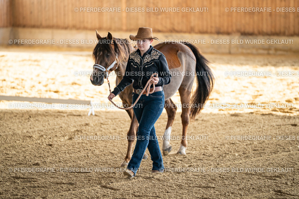 DSC07620 | Pferdegrafie