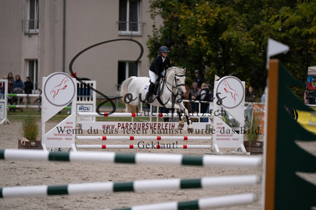 A7V09340 | Pferdefotograf