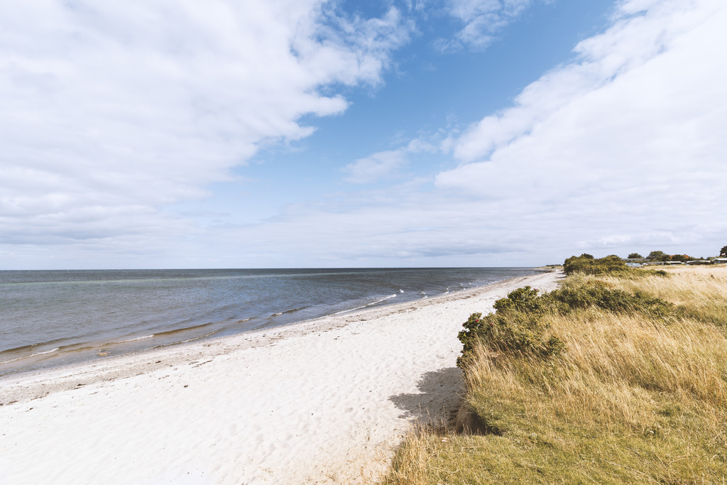 Wandbild: Falshöft und das weiße Band des Strandes | Dieses elegante Wandbild fängt den harmonischen Übergang von der naturbelassenen Küstenvegetation zum hellen Sandstrand bei Falshöft ein. Der breite Strandverlauf zieht sich in sanftem Schwung am ruhigen Meer entlang und verleiht der Fotokunst eine eindrucksvolle räumliche Tiefe. Das ausgewogene Zusammenspiel aus den natürlichen Tönen des Küstensaums, dem klaren Wasser und dem weiten Himmel schafft eine befreiende, zeitlose Atmosphäre – perfekt für anspruchsvolle Wohnräume mit Gespür für feine Naturdetails.