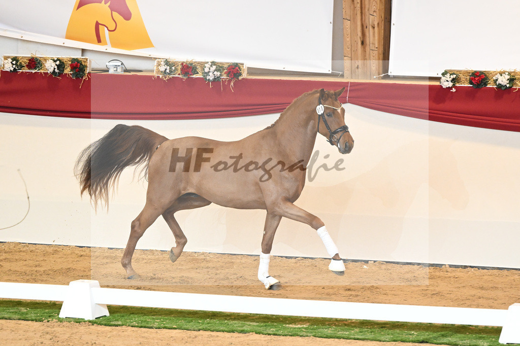 Kat-Nr. 73 Vaderland_Galneder_1230437 | hf-fotografie - Realisiert mit Pictrs.com