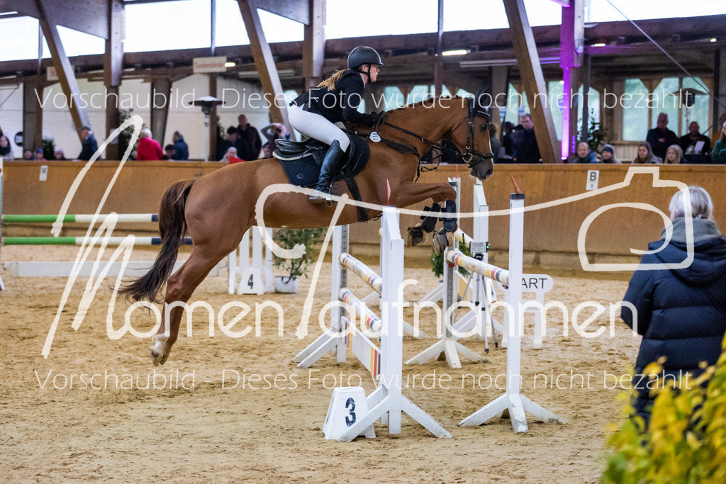 Sth-A-Spr.m.st.A.-019 | MomenTaufnahmen Pferdesportfotos