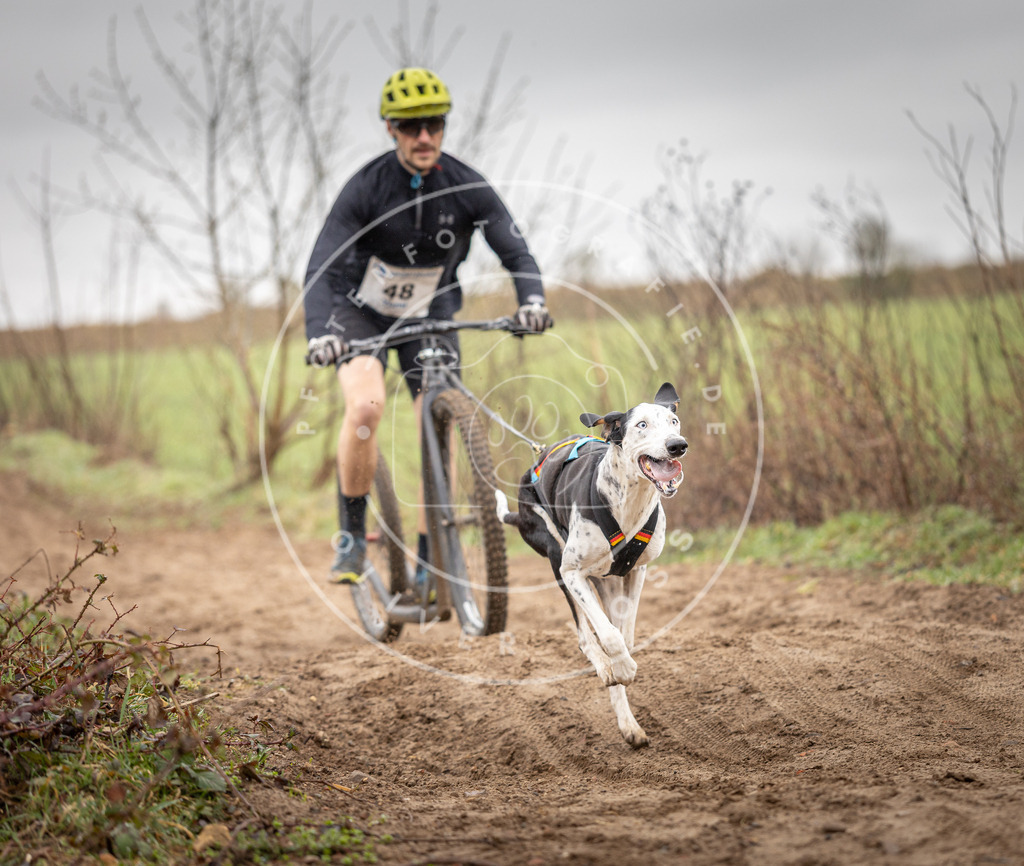 DV3A9219 | Hundefotografie, Tierfotograf, Pfotenfotografie, Fotoshooting Hund, Hunde Portrait, Hundesport, Hundeportraits, Heideshooting, Hunde, Sportfotograf, Hundefotograf, Turnierhundsport, THS,  - Realisiert mit Pictrs.com