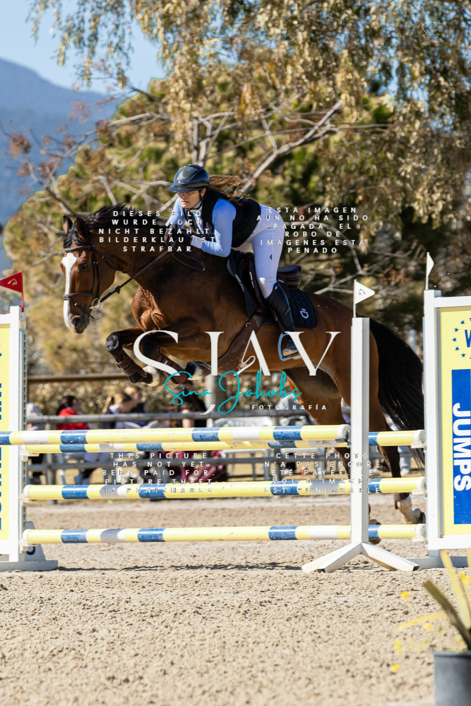 IMG_0543 | s-jay-photography - Realisiert mit Pictrs.com