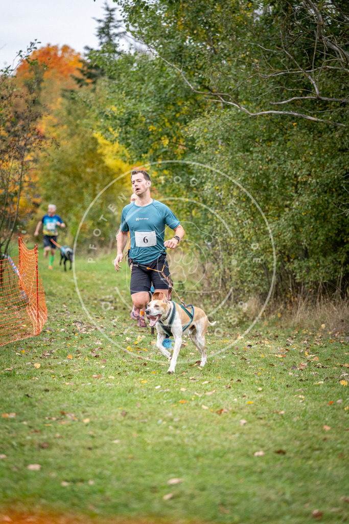 Pfotenfotografie_DV3A1672 | Hundefotografie, Tierfotograf, Pfotenfotografie, Fotoshooting Hund, Hunde Portrait, Hundesport, Hundeportraits, Heideshooting, Hunde, Sportfotograf, Hundefotograf, Turnierhundsport, THS,  - Realisiert mit Pictrs.com