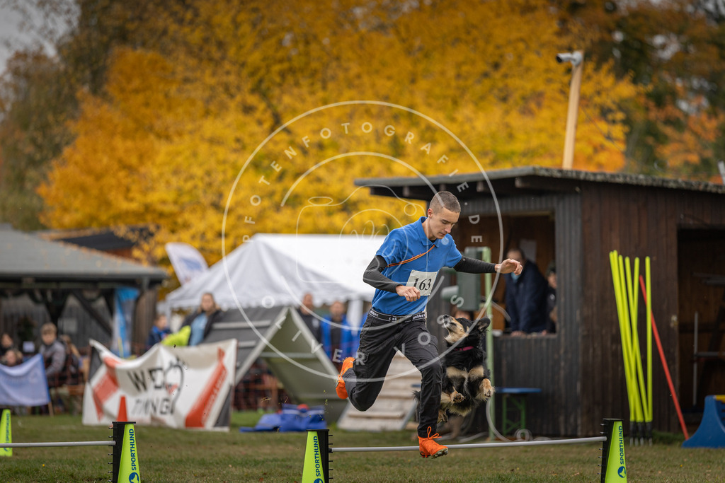 Pfotenfotografie_DV3A5010 | Hundefotografie, Tierfotograf, Pfotenfotografie, Fotoshooting Hund, Hunde Portrait, Hundesport, Hundeportraits, Heideshooting, Hunde, Sportfotograf, Hundefotograf, Turnierhundsport, THS,  - Realisiert mit Pictrs.com