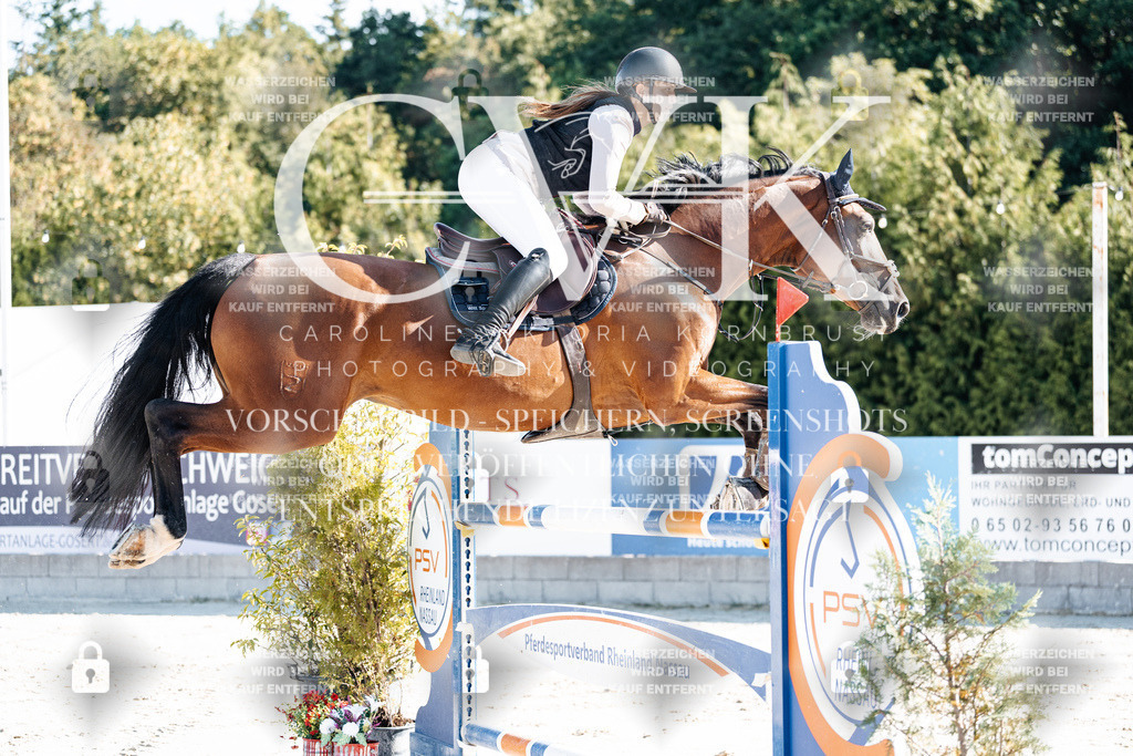 CK904579 | Turnierfotografie Pferdefotografie Trier Rheinland-Pfalz Pferdesport Reitsport Tierfotografie Sportfotografie Pferdevideo Pferdevideografie Equestrianvideography equestrianphotography  - Realisiert mit Pictrs.com