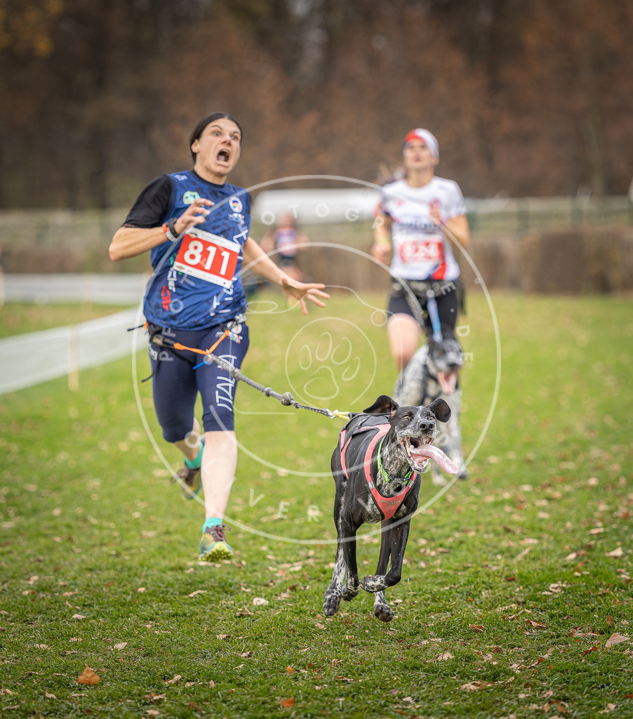 CaniXpix_DV3A6319 | Hundefotografie, Tierfotograf, Pfotenfotografie, Fotoshooting Hund, Hunde Portrait, Hundesport, Hundeportraits, Heideshooting, Hunde, Sportfotograf, Hundefotograf, Turnierhundsport, THS,  - Realisiert mit Pictrs.com