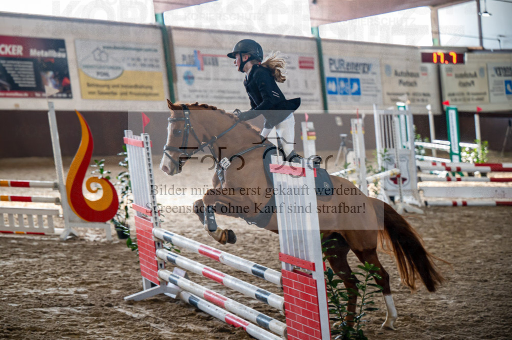 Hallenreittunier Voxtrup 2023 | Entdecke hochwertige Reitturnierfotos von Foto Oger. Professionell, emotional und authentisch – jetzt Lieblingsmomente im Shop bestellen.Deutschlandweite Turnierfotografie. - Realisiert mit Pictrs.com