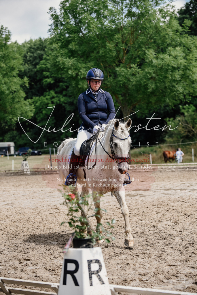 DSC_1824 | Pferde- und Turnierfotografie in Westsachsen. Pferdeportraits, Auftragszeichnungen und intuitive Kunst.