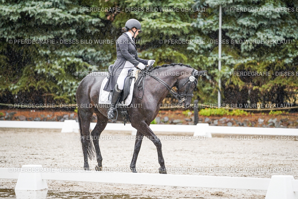 DSC08406 | Pferdegrafie