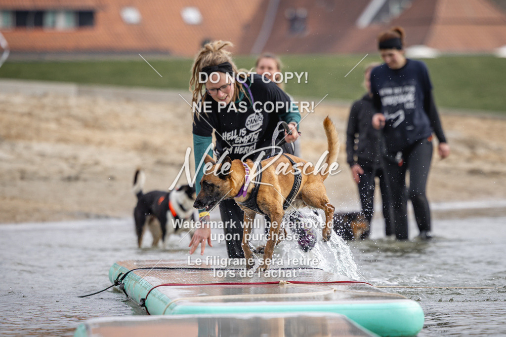nelerasche_Hulsbeek_Sa1230-1330_75 | nelerasche
