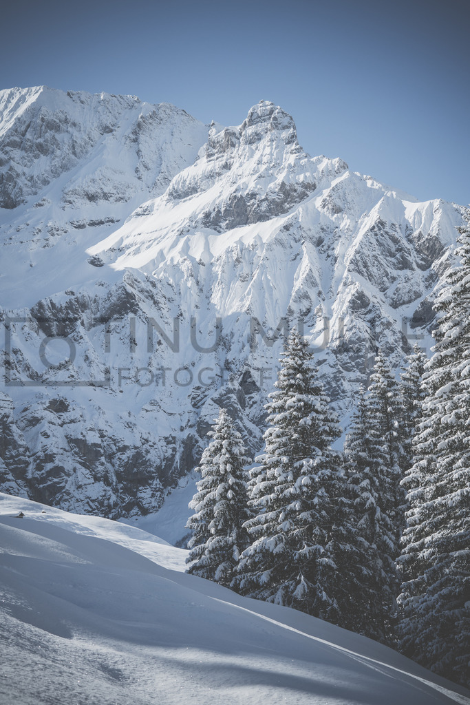 DSC03428 | Tinu Müller Fotografie- Bildershop - Realisiert mit Pictrs.com