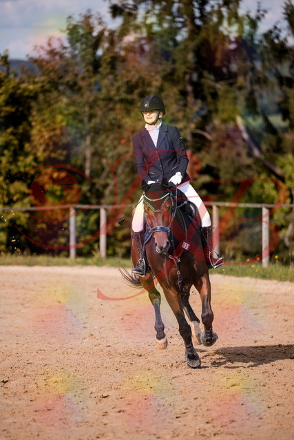 2026_10_03_Siefer-Hof_154201_Z81_59630029 | Professionelle Reitsport-, Turnier- und Eventfotografie von Robert Broda. Galerien mit ausgewählten und bearbeiteten Bildern direkt online ansehen und bestellen.