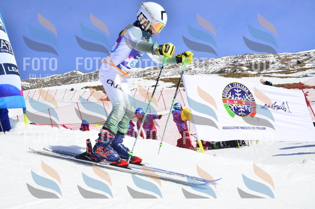 _ELE0249 | holidayphoto