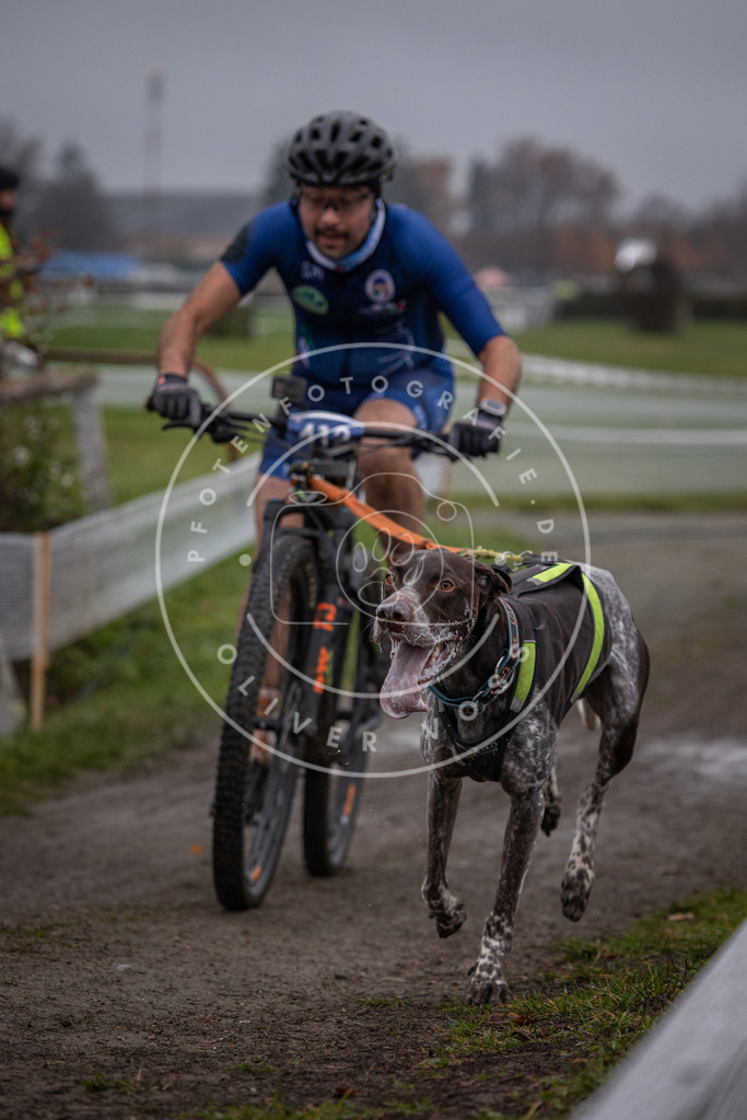 CaniXpix_0L8A1424 | Hundefotografie, Tierfotograf, Pfotenfotografie, Fotoshooting Hund, Hunde Portrait, Hundesport, Hundeportraits, Heideshooting, Hunde, Sportfotograf, Hundefotograf, Turnierhundsport, THS,  - Realisiert mit Pictrs.com