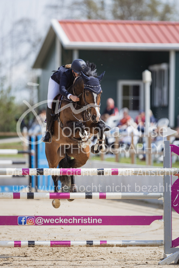 230501_SpengeW_M2St-159 | Deine schönsten Turniermomente als professionelle Fotos! Entdecke hochwertige Pferdesport-Fotografie im Online-Shop. Jetzt Fotos finden & bestellen!