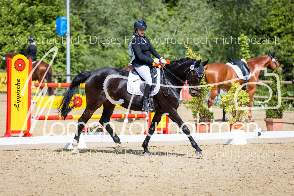 Donop24-L-Dre-028 | MomenTaufnahmen Pferdesportfotos