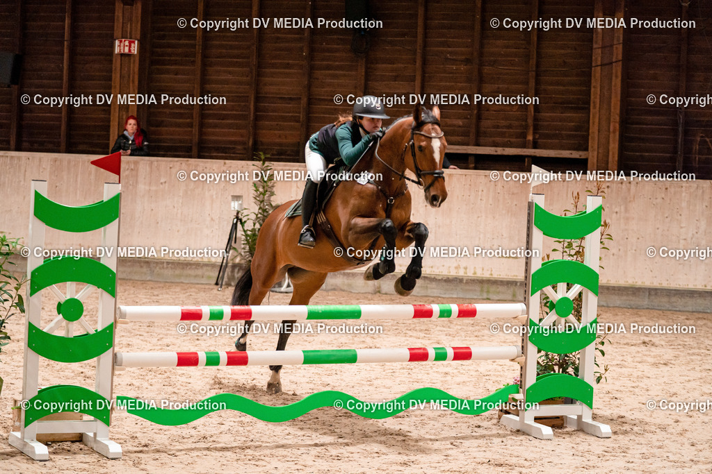 Springen Tag 2-095 | dv-media-shop - Realisiert mit Pictrs.com