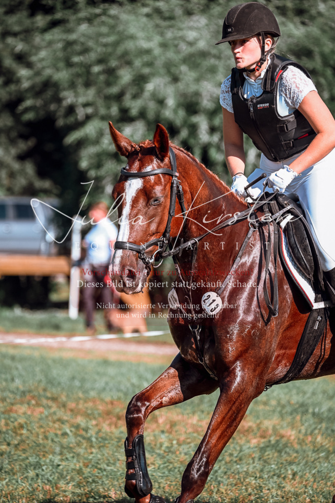 DSC_0773 | Pferde- und Turnierfotografie in Westsachsen. Pferdeportraits, Auftragszeichnungen und intuitive Kunst.