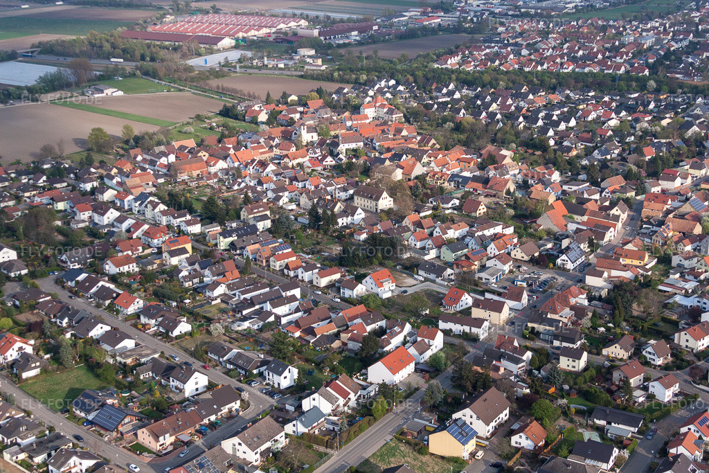 Luftbild: Ortsansicht im Ortsteil Schauernheim in Dannstadt-Schauernheim im Bundesland Rheinland-Pfalz in Deutschland. Foto: IMG_49876.jpg vom 13.04.2012 durch Werner Riehm/FLY-FOTO.de