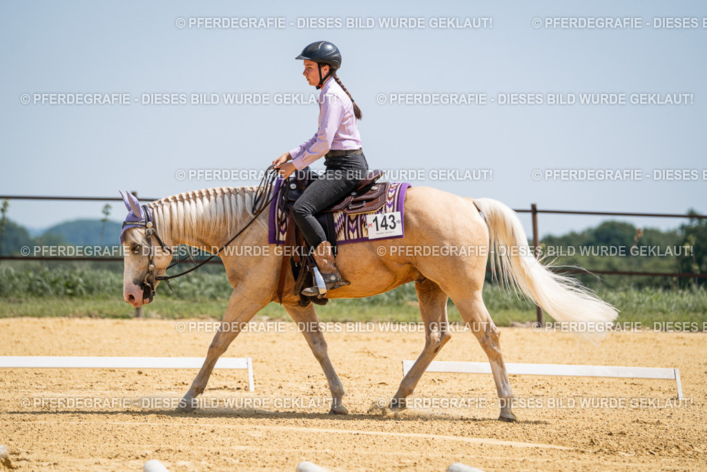 DSC01090 | Pferdegrafie