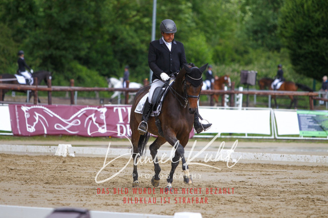 DKP40783 | Turniersportfotografie; Pferdefotografie; Dressurfotografie