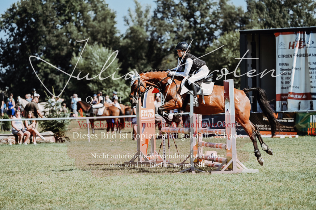 DSC_6613 | Pferde- und Turnierfotografie in Westsachsen. Pferdeportraits, Auftragszeichnungen und intuitive Kunst.