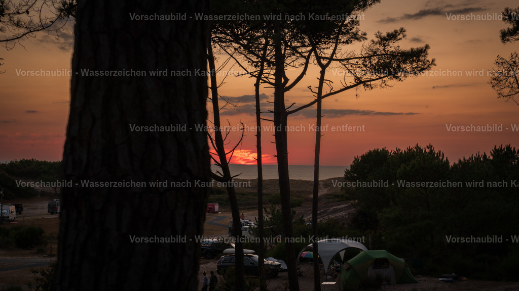 DSC08073 | marcuslinek