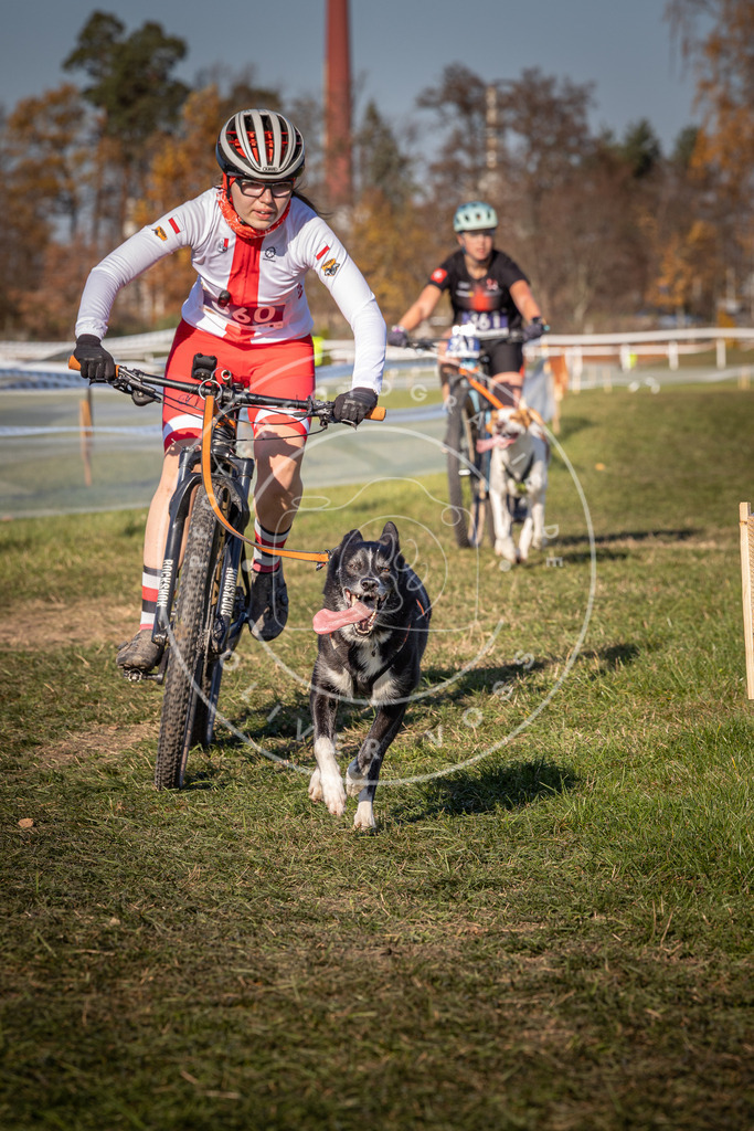 CaniXpix_0L8A6216 | Hundefotografie, Tierfotograf, Pfotenfotografie, Fotoshooting Hund, Hunde Portrait, Hundesport, Hundeportraits, Heideshooting, Hunde, Sportfotograf, Hundefotograf, Turnierhundsport, THS,  - Realisiert mit Pictrs.com