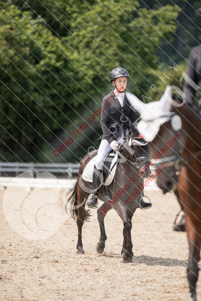 IMG_3465 | Sport-, Event- und Tierfotos in Profiqualität. Einfach auswählen, bestellen und herunterladen. Dein Moment – perfekt festgehalten.