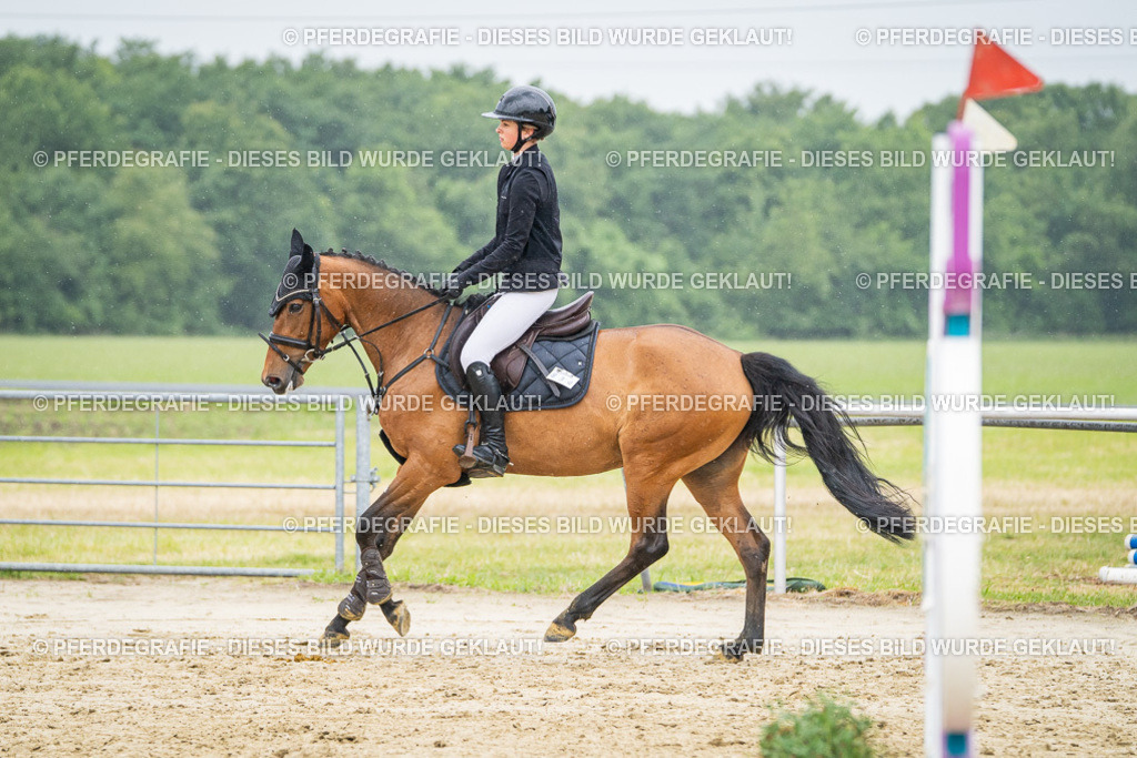 DSC02955 | Pferdegrafie