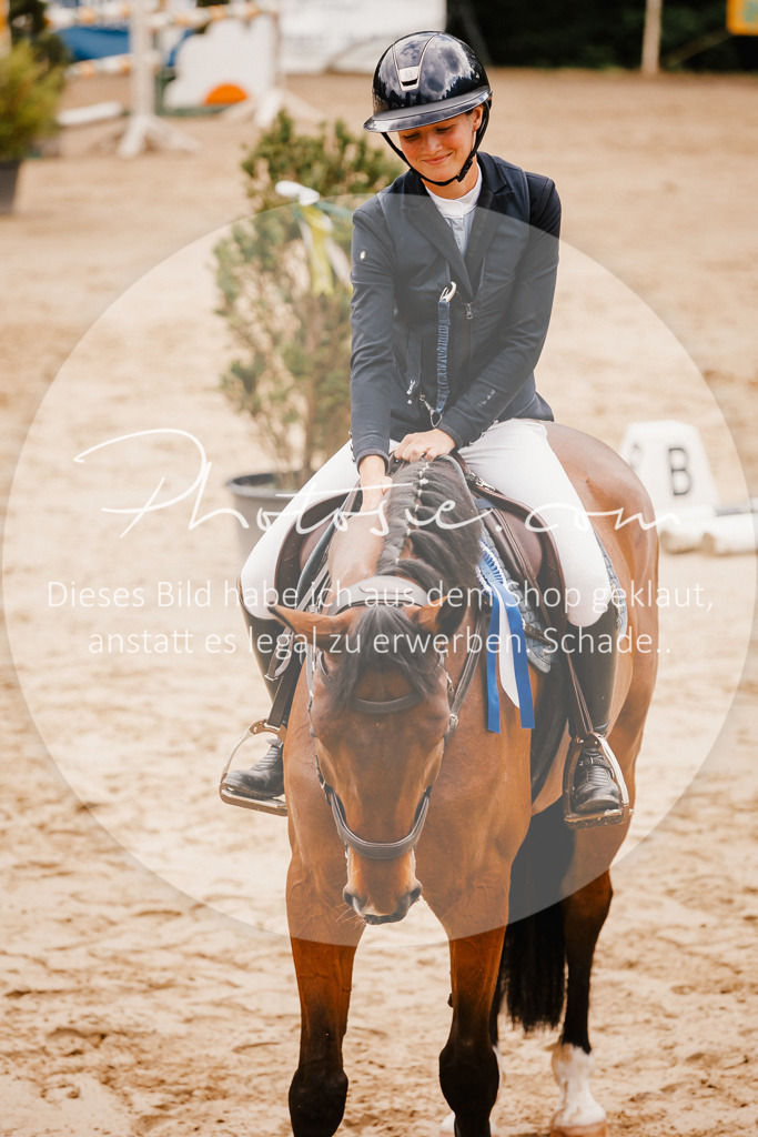 3I6A2504 | Stimmungsvolle Portraits und Reitsportfotografie im Ruhrgebiet und im Münsterland.

Pferdefotografie, Hundefotografie, Tierfotografie, Reportagen, Portraits von Tier und Mensch, Turnierfotografie in Bochum, Recklinghausen, Marl, Haltern am See, Dülmen.. - Realisiert mit Pictrs.com